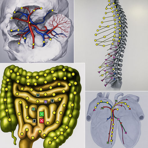 total body en mind scan